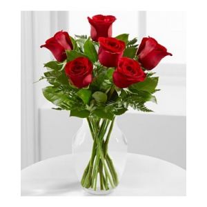 6 Red Roses