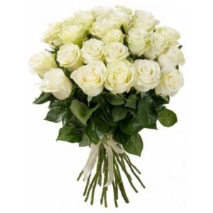 25 White Roses